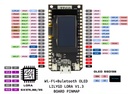 LORA4.jpg