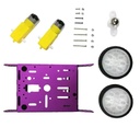 Chasis simple metálico 2WD. Purpura