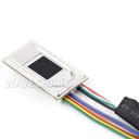 Sensor de huellas dactilares capacitivo rectangular (F). UART y USB.