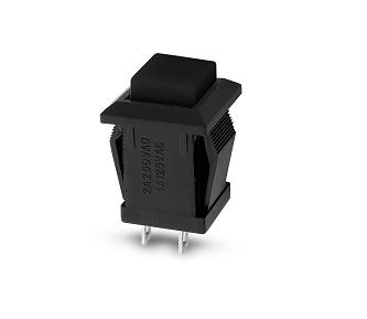 Pulsador cuadrado negro 2 pines - 2A