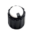 Perilla blanca con cuerpo negro