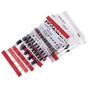 Kit de diodos rectificadores Schottky. 100 unidades